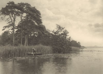 Das Versteck des Hechts von Peter Henry Emerson